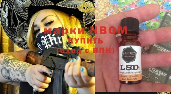 ешки Аркадак