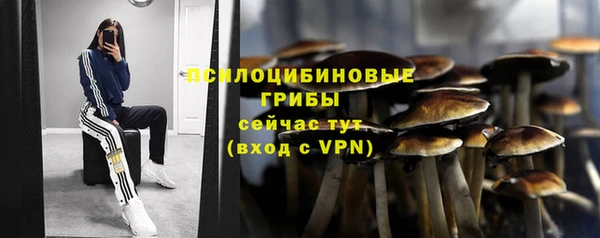 ешки Аркадак