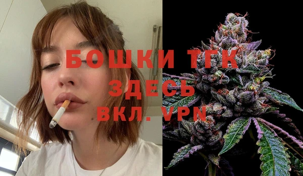 ешки Аркадак