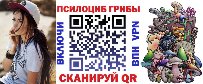 Псилоцибиновые грибы Cubensis  Ухта 